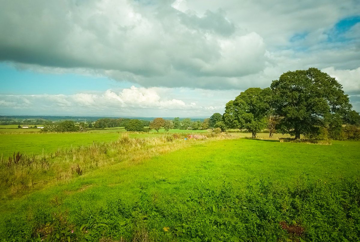 Anvil Homes tweet media