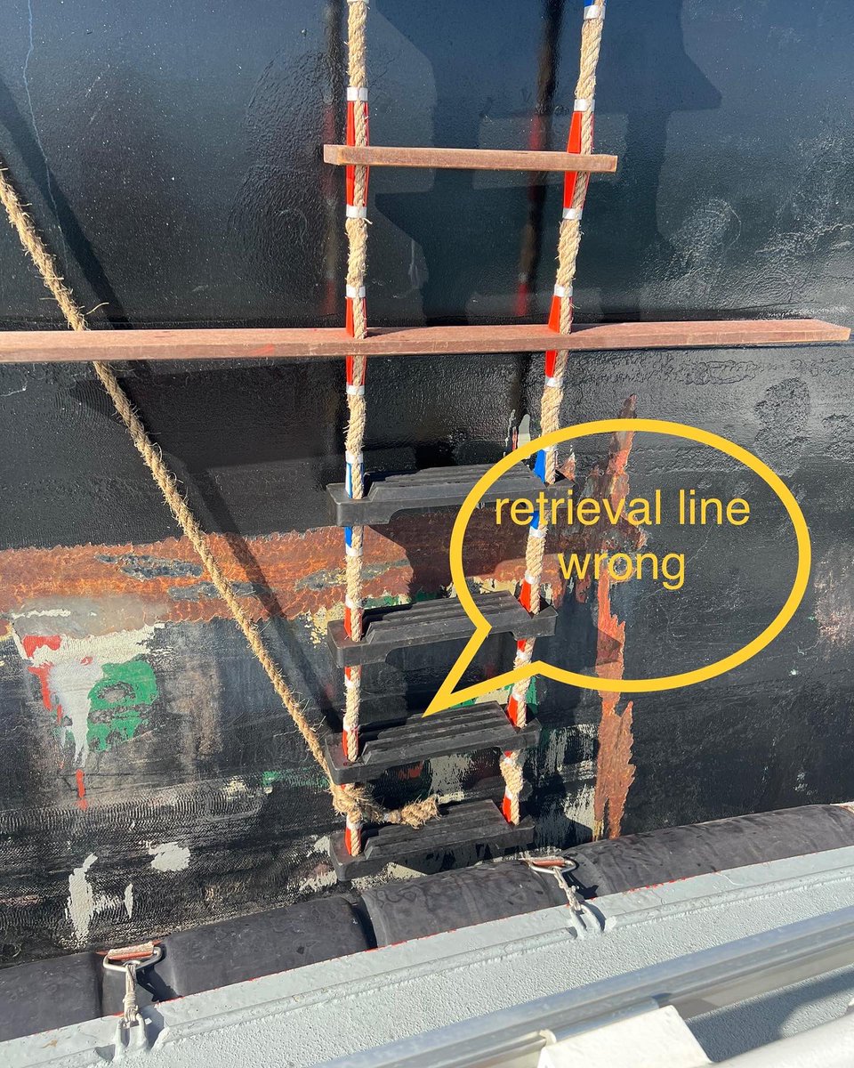 Arie palmers tweet media