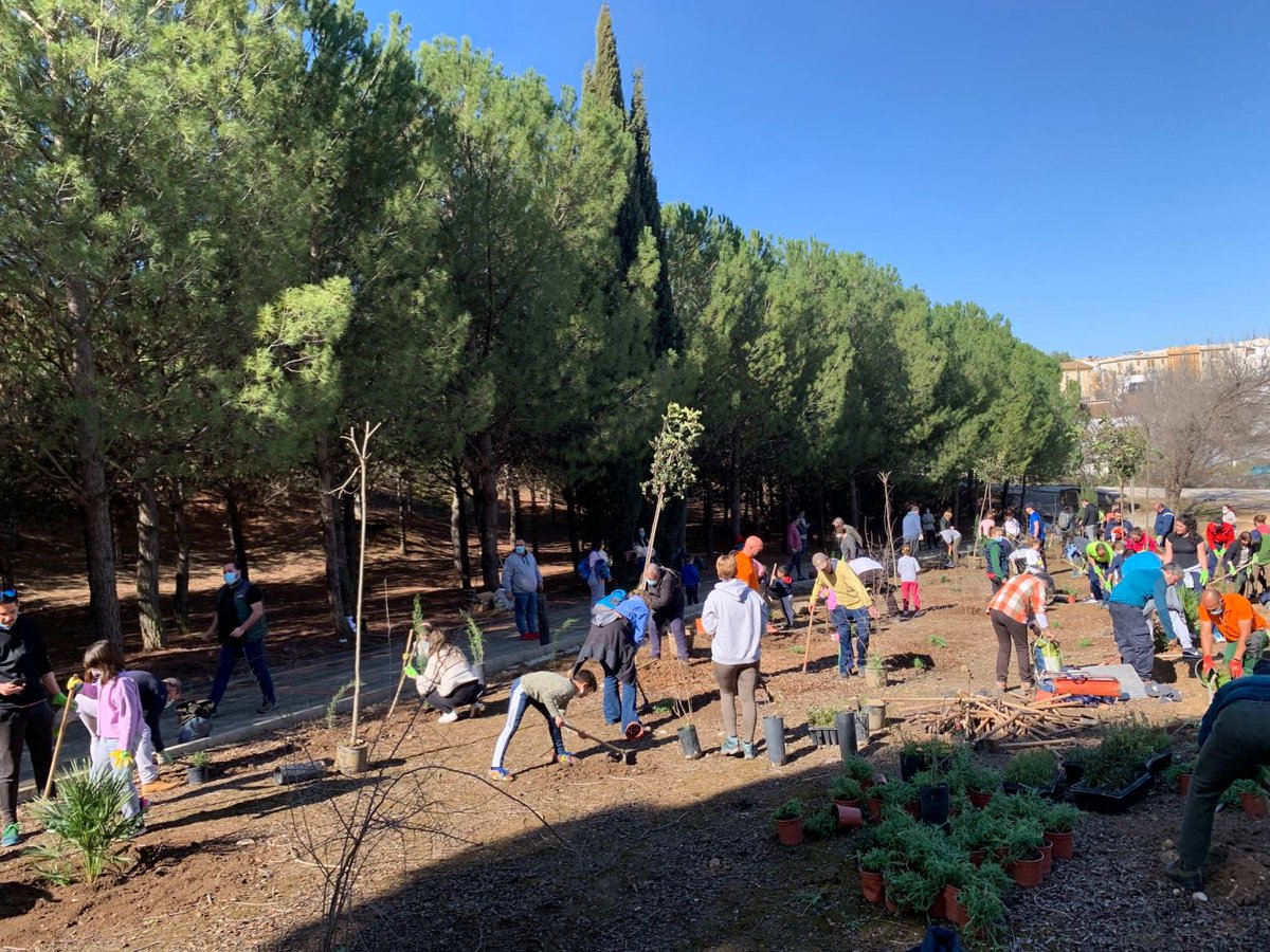diputacionMLG's tweet photo. Las #arboladas de la @diputacionMLG pondrán en valor #parajes de #VillanuevaDelTrabuco, #CuevasDelBecerro y #CañeteLaReal.

👉 https://t.co/QFlycEy7L2 https://t.co/62E9x3409b