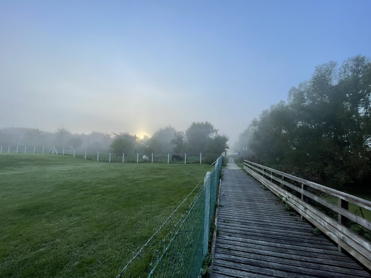 bibalabib's tweet image. Mon #velotaf ce matin sur la #seineavelo #v33 en #Normandie #nofilter