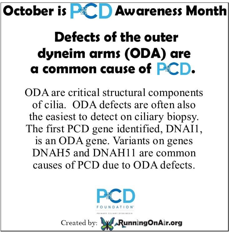 RunningOnO2's tweet photo. October is #PCDawareness month & this year we are celebrating the PCD Foundation's 20th year of #cleartheway4pcd . Visit https://t.co/X9feuFlBE0 for ideas. We can't wait to see how you all help 'Clear the Way' for PCD this month!
#cure4pcd #pcdawarenessmonth2022 #PCDFoundation https://t.co/h6zYhVflQD