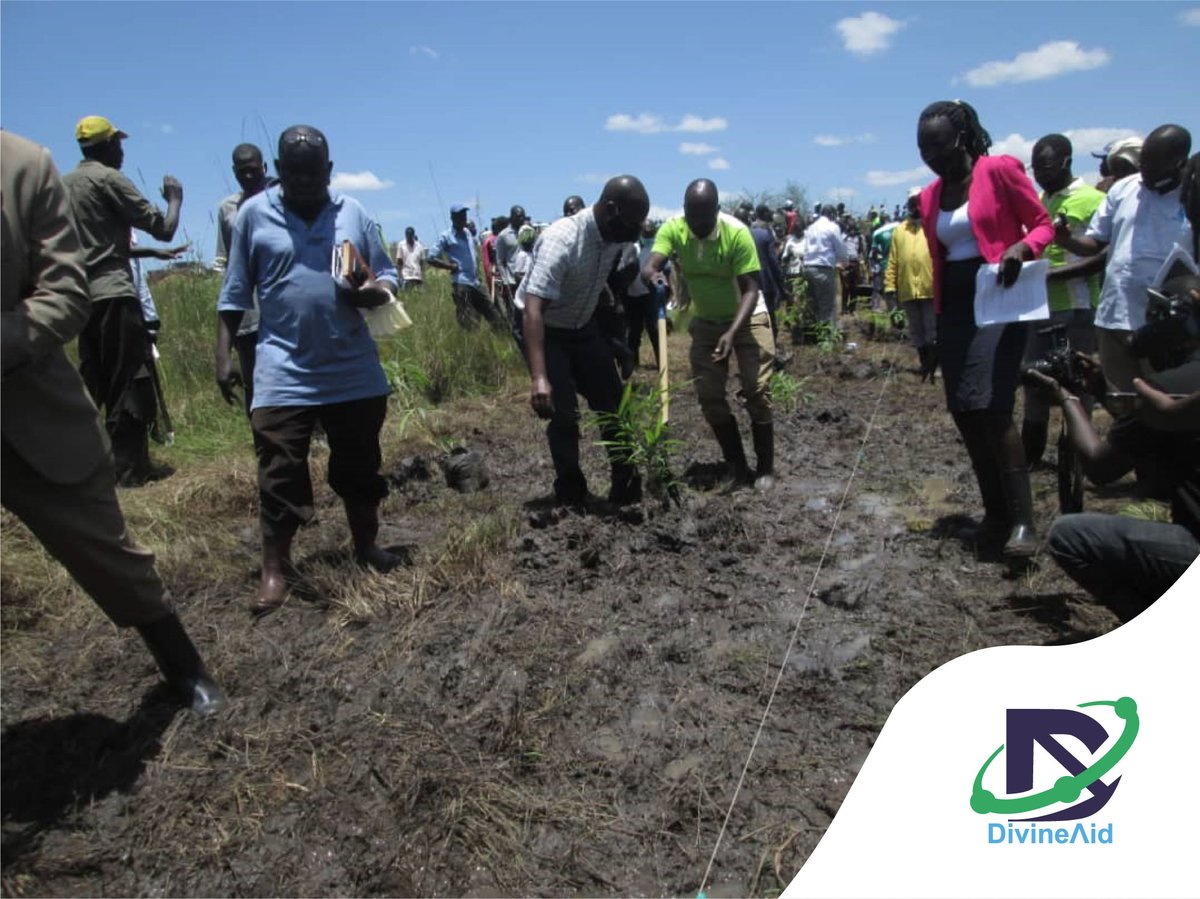 DivineAIDUg's tweet photo. Its our responsibility to protect our water resources...let's not encroach...let us respect the eco system such that we live in harmony #riverbankprotection campaign of Adungo river system in Kapelebyong and Amuria. @DivineAIDUg https://t.co/9htAi4EcuM