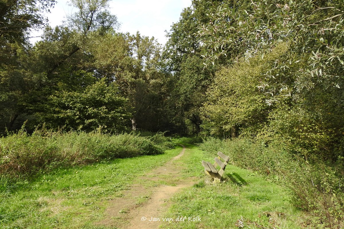 BekiekTwente's tweet photo. Een #ommetje wandelen (paarse route | 2,9 km | #wandelnetwerkTwente) in het Gravenbosch in #Saasveld #Soasel
#Dinkelland #Twente #BekiekTwente https://t.co/MvyWgqGSo1
