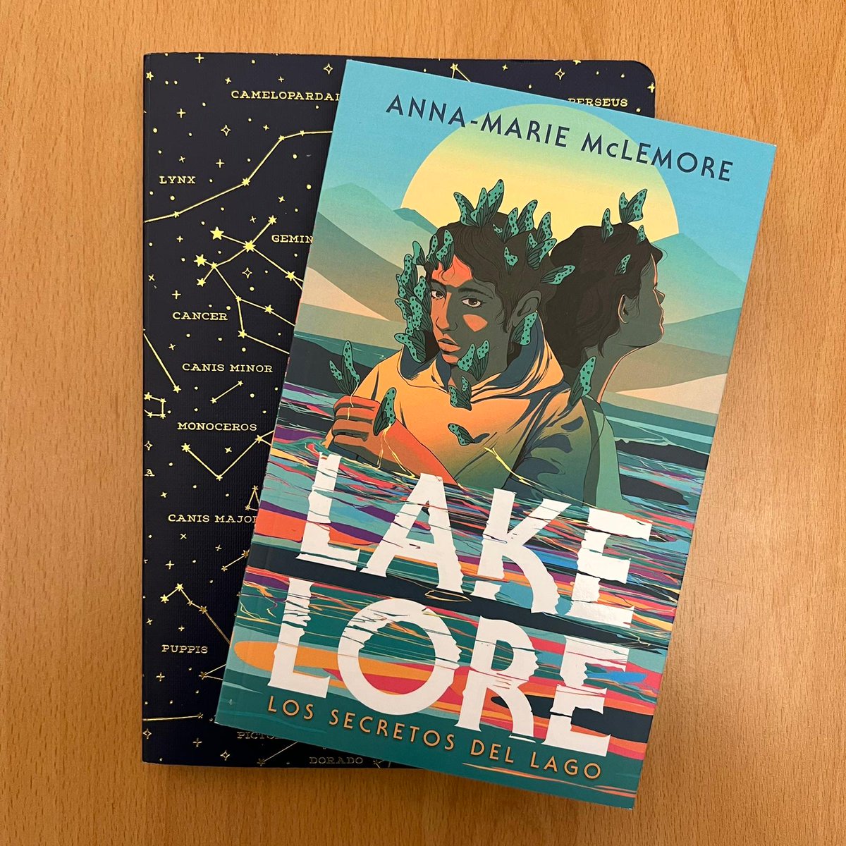 Puck_ed's tweet photo. A partir de hoy vais a encontrar en librerías #Lakelore de Anna-Marie McLemore, una novela que no os podéis perder. Dos adolescentes no binaries son arrastrades a un mundo mágico bajo un lago, en el que deberán encontrarse a sí mismos. ¿Estáis listos para visitar Lakelore? https://t.co/hHhHxYYetC