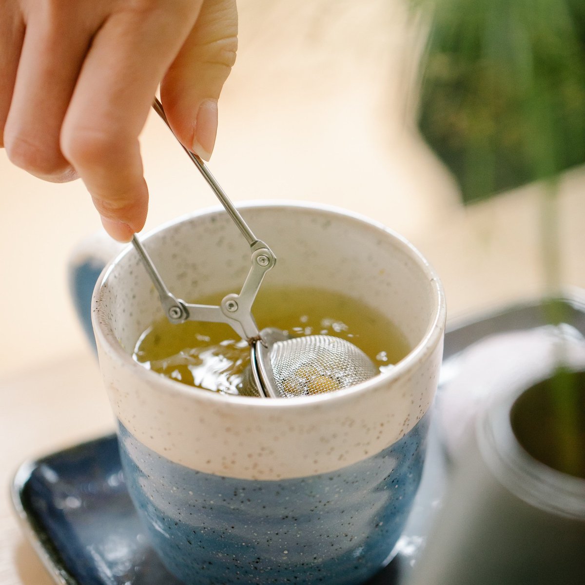 CuriousTeaLtd's tweet photo. Our October #teasubscription is shipping in 4 days!

It features a Chinese Huang Ya #yellowtea and a Chinese Lu An Gua Pian #greentea. We also chose a superb summer harvest Golden Tips #Darjeeling and a classic First Flush tea from Ilam in Nepal!

https://t.co/cID5e0mN5T https://t.co/MDsBTOkD7X