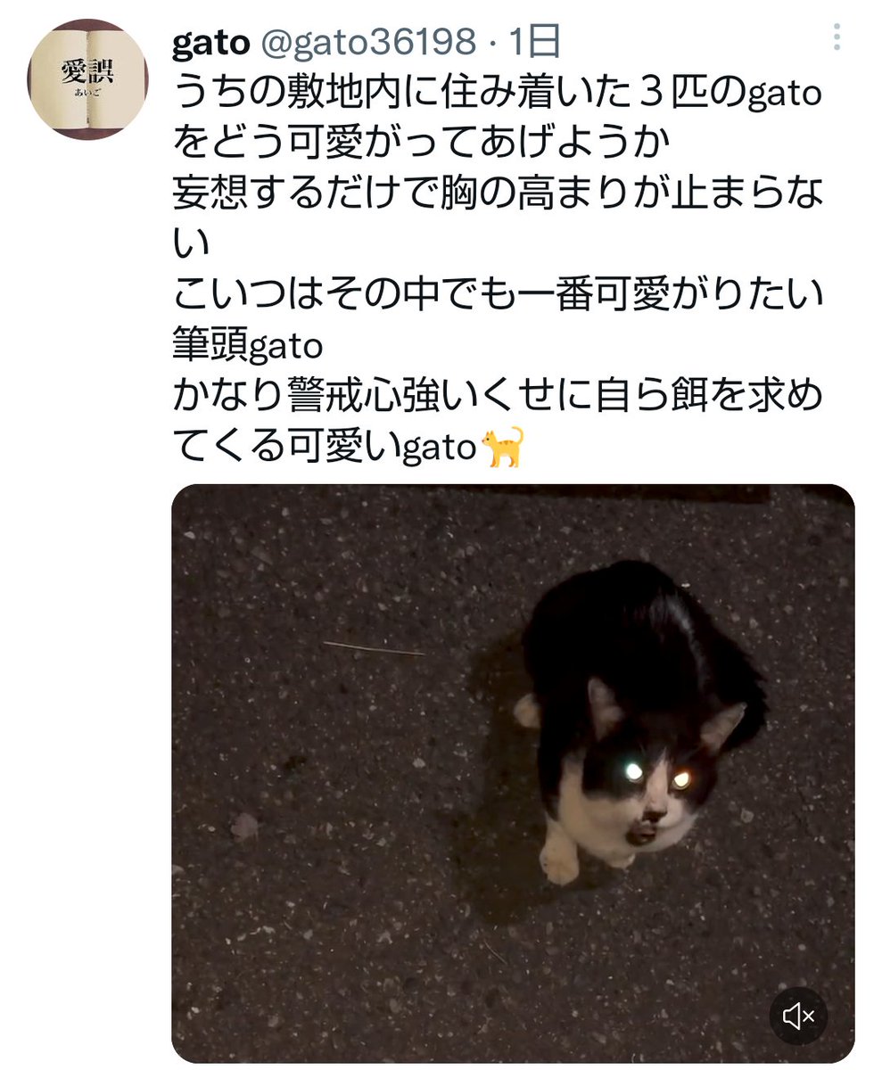 you18049409's tweet photo. 危険人物⚠️ https://t.co/d67XoaMl7C