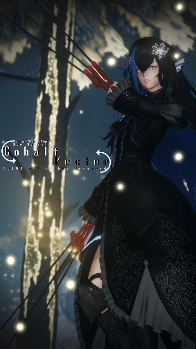 Ship2Fish's tweet image. #PSO2NGS #PSO2NGS_SS #PSO2GLOBAL