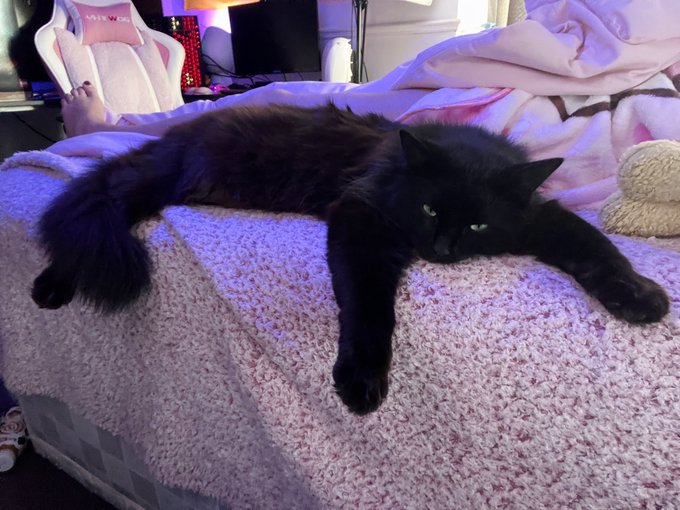 look at this boi https://t.co/2tJpUkdzAW