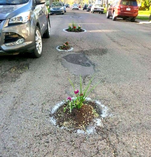 Thanos_pandith's tweet photo. @Tejasvi_Surya bro if you can't fix this problem start planting trees in portholes so that our old "vintage Image" known to be "Parks city" can be reincarnated . 😆

Eco-friendly solution . 

https://t.co/jOyOI8jEnf https://t.co/KYOPY9tHbE