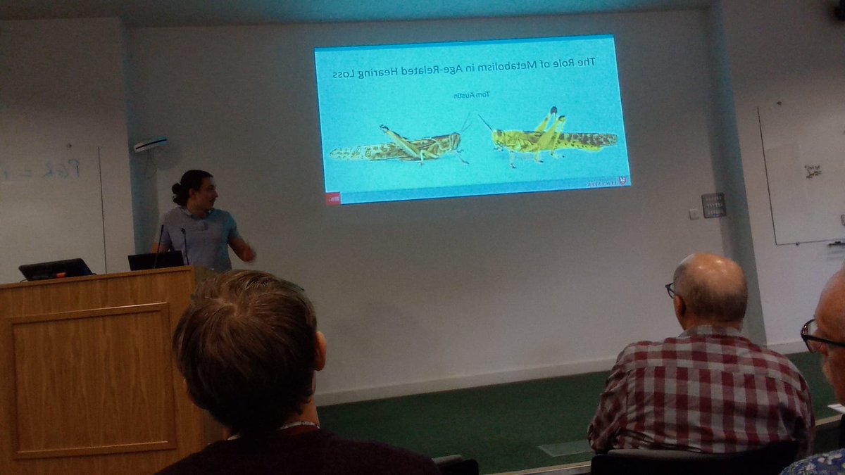 LocustEarMan's tweet photo. Christian Thomas and Thomas Austin presenting at the Sheffield Auditory Neuroscience Meeting. Doing the Wasren lab and University of Leicester proud! https://t.co/zmmwVeeTMw