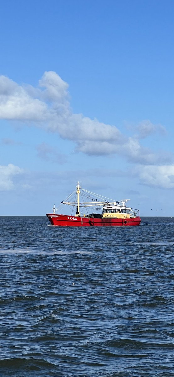 RuitenburgThijs's tweet photo. De YE-56 aan het zaadvissen @RuitenburgKees  #mossels #waddenzee https://t.co/y46q4oJSWL