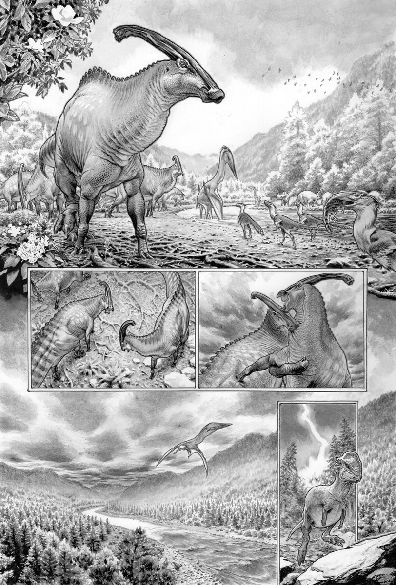 Lewis LaRosa tweet media