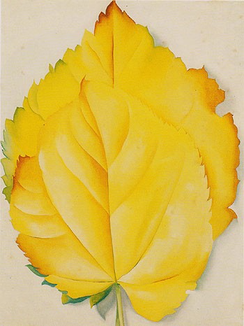 Two Yellow Leaves, 1928 by Georgia O'Keeffe #womensart #Autumn #Fall