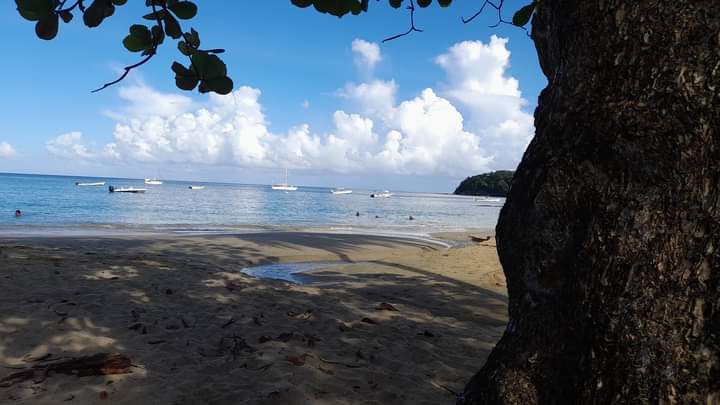 MicheyPhilly's tweet photo. Chow on the Beach,perfect Combination!#micdevschow #tobago https://t.co/DloKT4a6wk