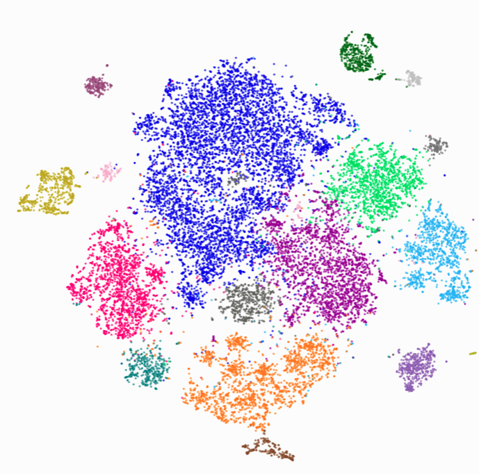 Rogue Virologist tweet media