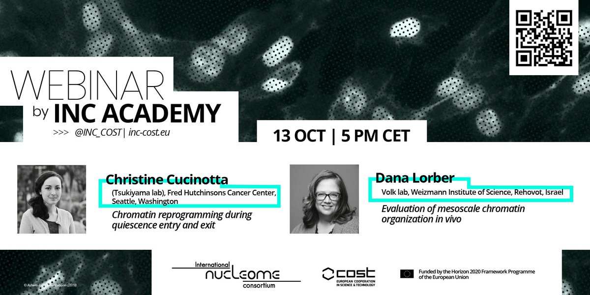 Joint us for the INC Academy seminar on 13th October! Talks by Christine Cucinotta (@chrstn_e) about chromatin reprogramming in quiescence and Dana Lorber (@DanaLorber) about mesoscale chromatin organization. Registration here: essex-university.zoom.us/webinar/regist…