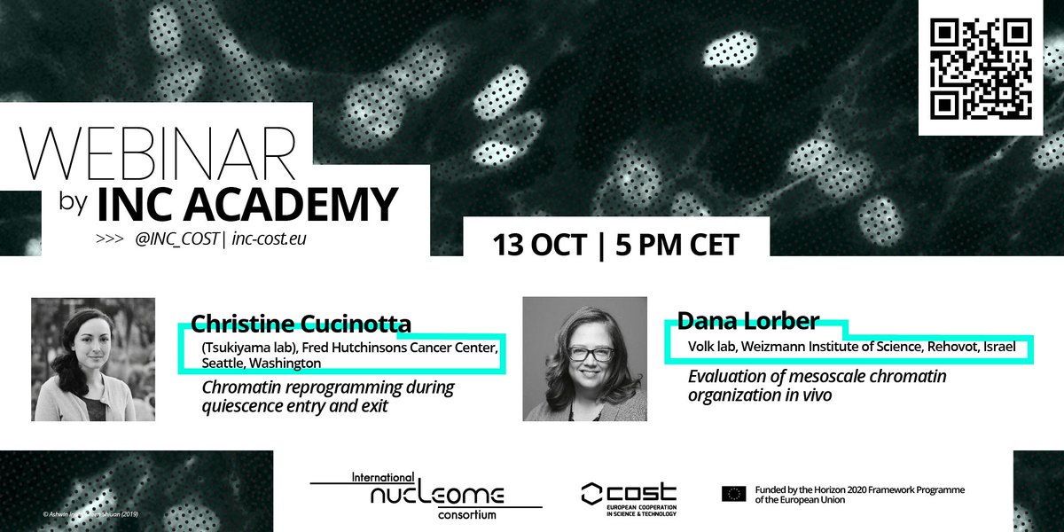 INC_COST's tweet photo. Joint us for the INC Academy seminar on 13th October! Talks by Christine Cucinotta (@chrstn_e) about chromatin reprogramming in quiescence and Dana Lorber (@DanaLorber) about mesoscale chromatin organization. Registration here: https://t.co/fgeXRurX9H https://t.co/MB1LBxN49Q