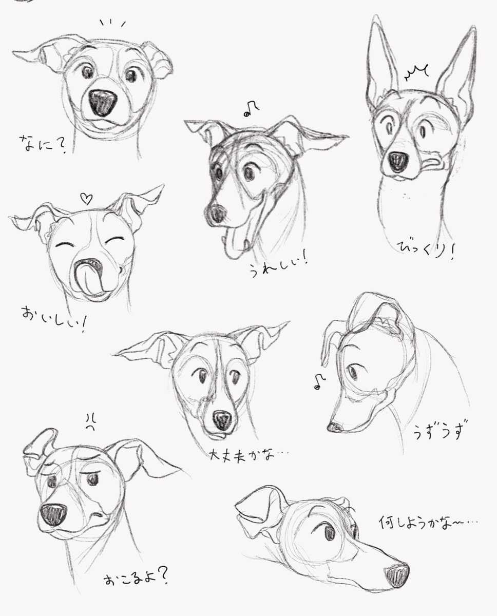 これはとあるお仕事のラフの一部なんですが、日頃愛犬を観察している成果がスーパーMAXで発揮されてるなと思ったので是非みてほしいです 