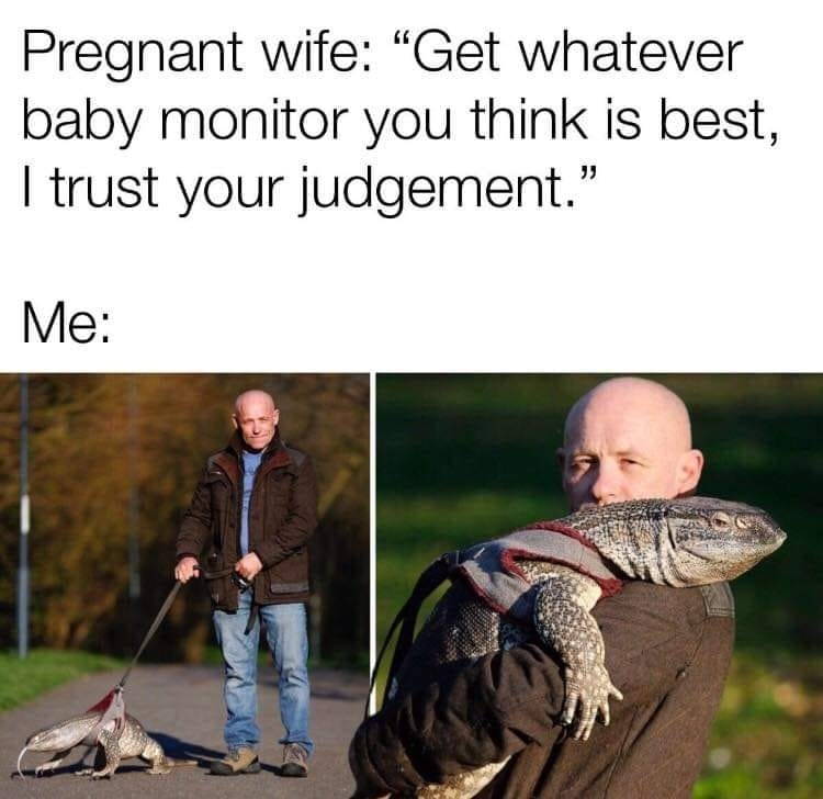 MiniZooUK's tweet photo. Spotted this, made me giggle!! 
#BabyMonitor #Baby #Reptile #Reptilelove https://t.co/ksz2JQSNNZ