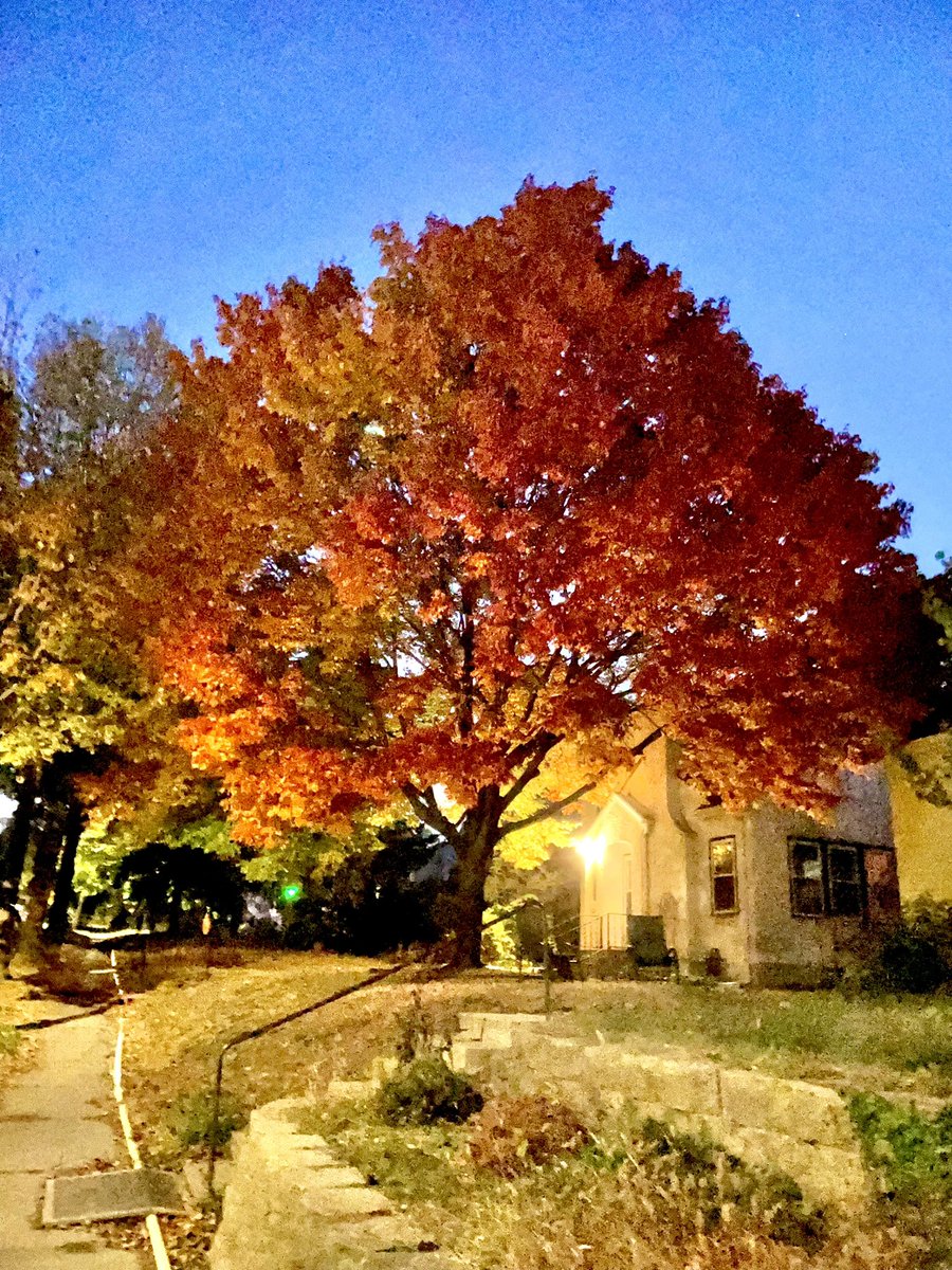 Q4CONQUER's tweet photo. Fall 2022 - 1 week https://t.co/D7JlelvOtQ