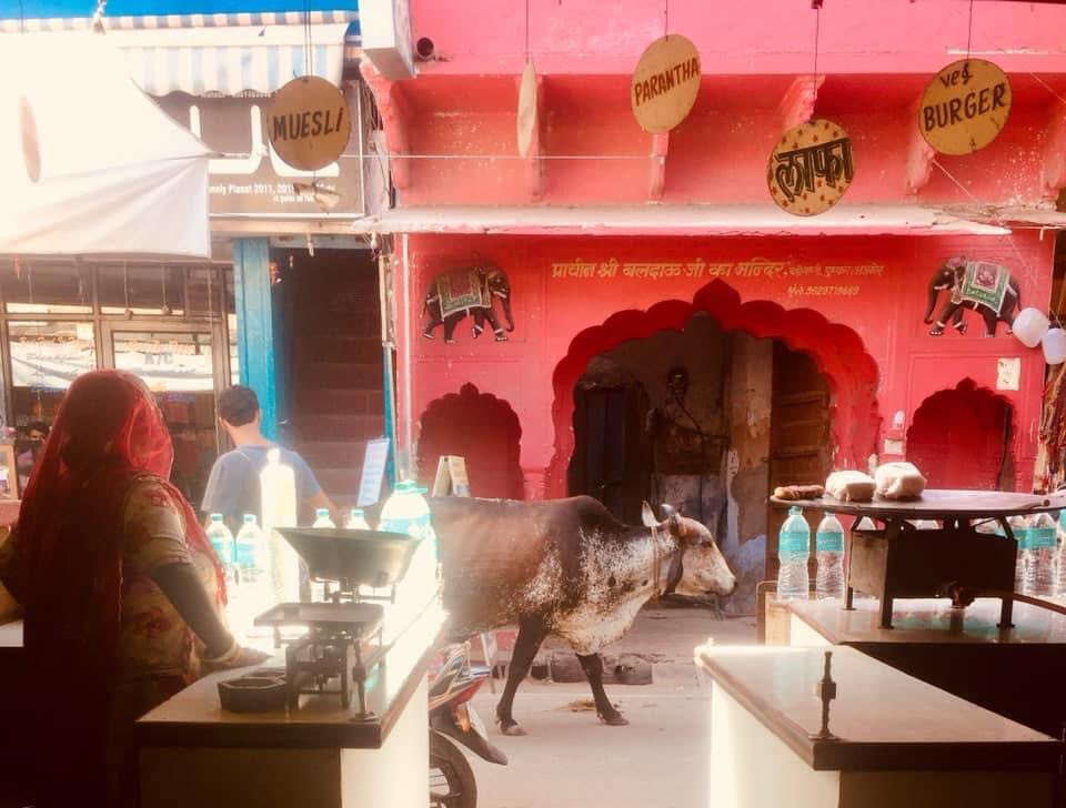 4 years ago I was in beautiful Pushkar! #pushkar #indiatravelgram  #travelphotography #indiatravel