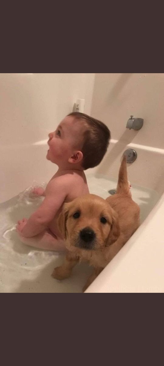 PenguPudgyPump's tweet image. hi @cz_binance we are making history as bnb token when will you notice our community

#BabyDoge
#BabyDogeCoin
#BabyDogeSwap
#anubiscoin 
@ANUBISCOIN1  🚨🚨🚨🚨🚨🚨🚨❤❤❤❤❤❤❤❤❤❤❤❤❤❤
#bnb #btc