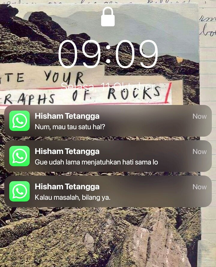 "Emang suka, mau apa lo?"
; Hisham always by Hanum side

LHC few tweets au
written by alla