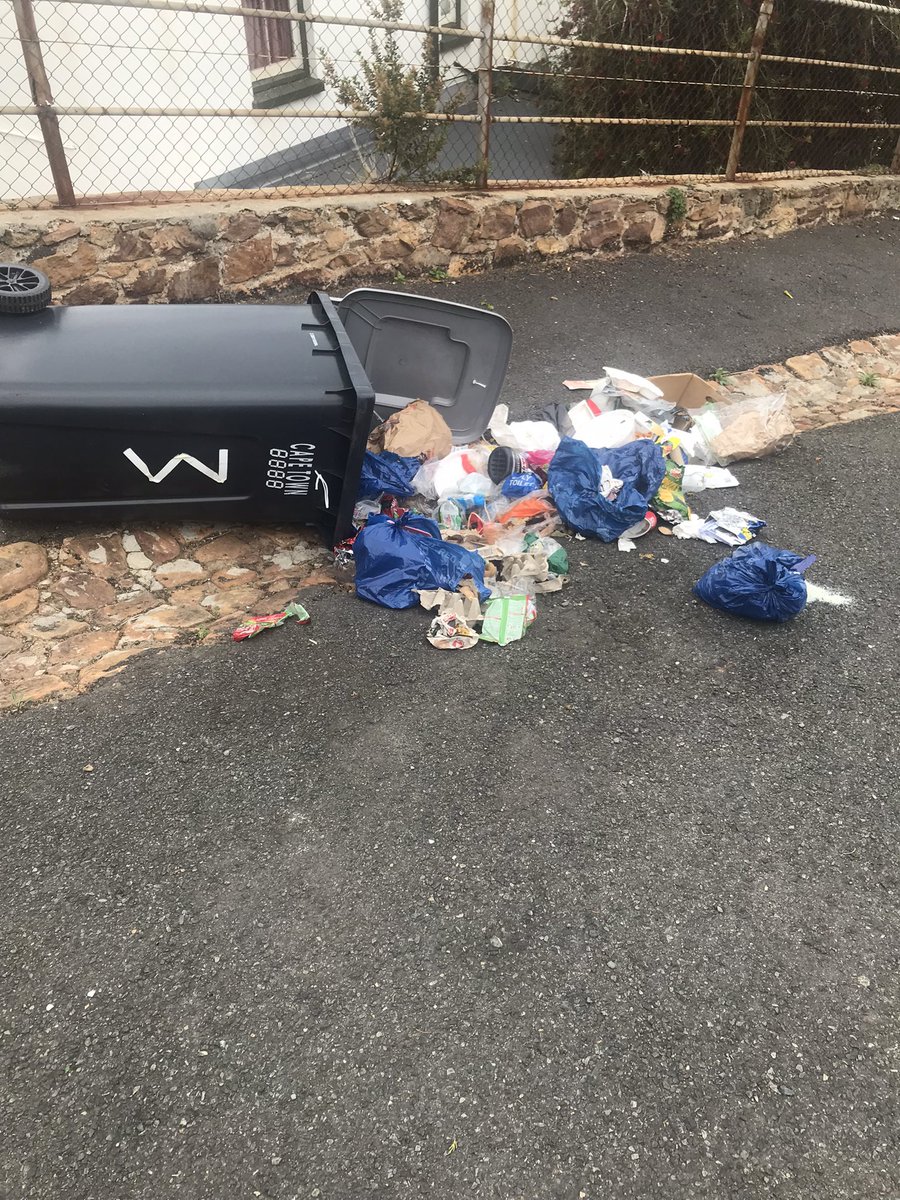 Choachamma's tweet photo. @CityofCT this is what remains after our bins are emptied by the service provider. 2pm too late to empty bins in baboon areas - binpickers open all the secured bins.  We need proper secured bins!!! We are tired of hearing “the tender is out” https://t.co/EenERq8Z96
