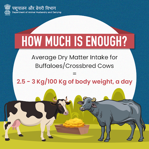Dept_of_AHD's tweet photo. 🐂🌱 | #DryMatter is the portion of feed/fodder that remains after all the moisture (water) has been dried out! 

#AnimalFarming #AnimalHusbandry #AnimalFeed https://t.co/rsNrp7jvFF