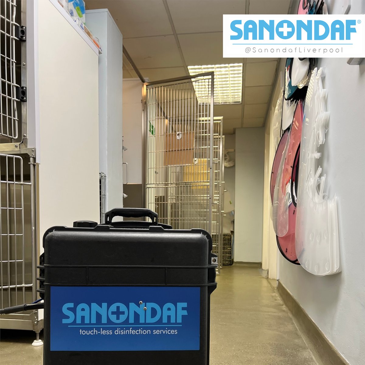 SanondafLpool's tweet photo. Today we’ve been ensuring that our clients’ animal patients are protected from harmful germs. Interested in learning how Sanondaf can help your veterinary practice? Let’s talk.

#sanondaf #bsava #bva #rcvs #veterinary #rvn #vetnurse #vetlife #infectionprevention #meetthefoggers https://t.co/BH7NWrtoZy