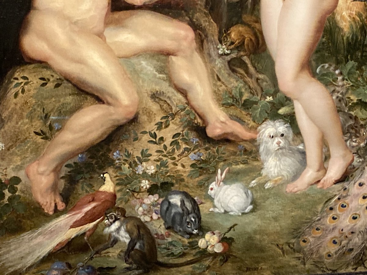 No one is less impressed by nudity than tiny, scruffy dogs in renaissance art…