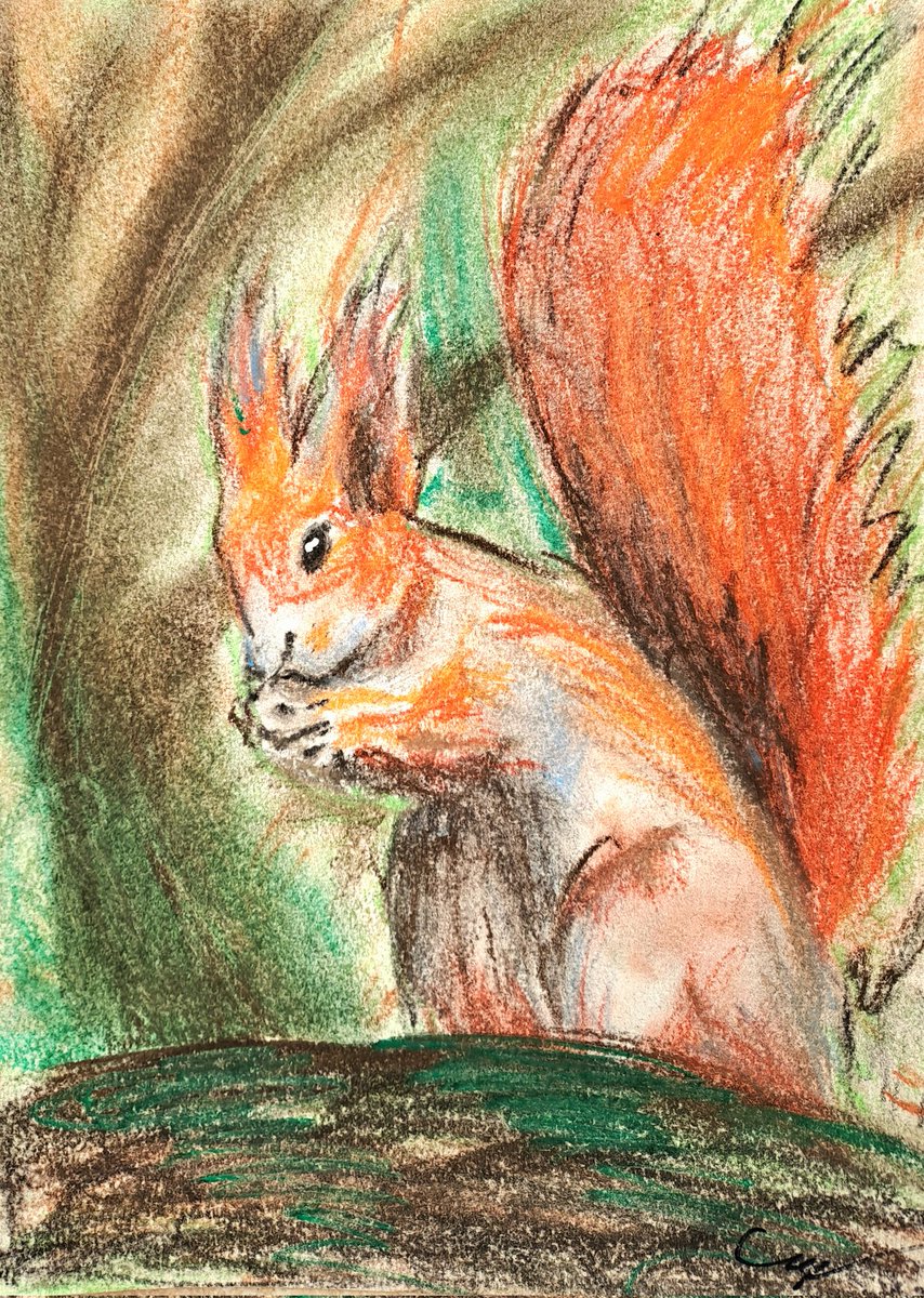 Squirrel, just a red lil dude. 
#October #autumnfall