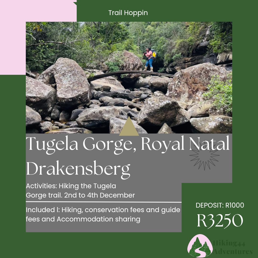 CMathebr's tweet photo. Start your December with a hiking trip on the Berg.

#NatureIsCalling #Feedyoursoul #WeLoveTheOutdoors #WeLoveTheFreshAir #hikingadventures #HikingisMyLife https://t.co/BSy07xUakF
