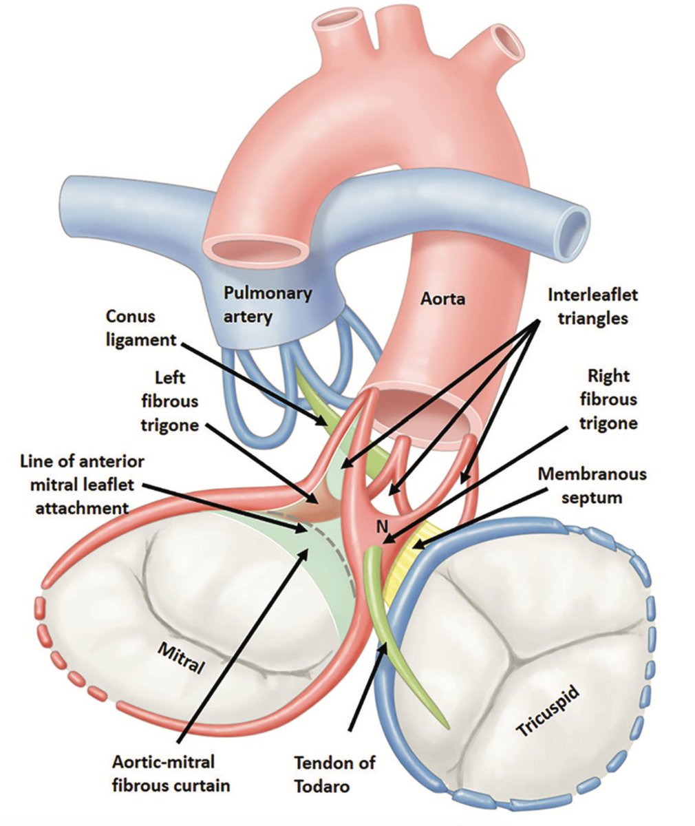 Dr. Zhong tweet media