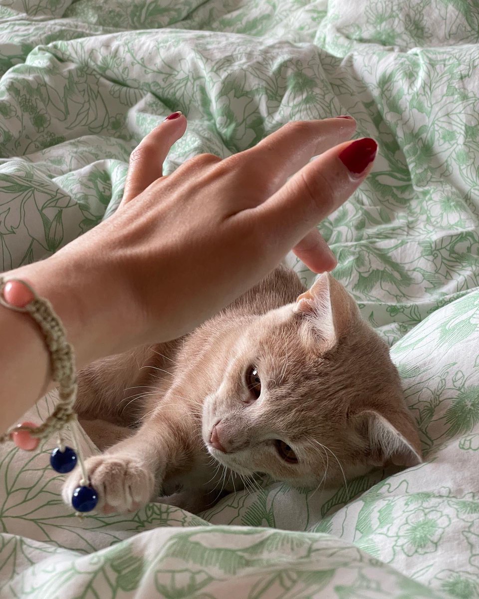 kweenkreme's tweet photo. what an angel https://t.co/x1TLcSyOQU