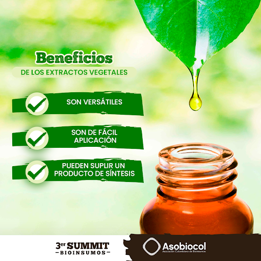 asobiocol's tweet photo. Los extractos vegetales son sustancias biológicamente activas presentes en los tejidos de plantas con un proceso de extracción tecnificado que asegura su calidad.
#Asobiocol #Suelos #Agriculturasostenible #Bioinsumos #Sectoragroexportador #AgriculturaConsciente https://t.co/MHKyYORmys