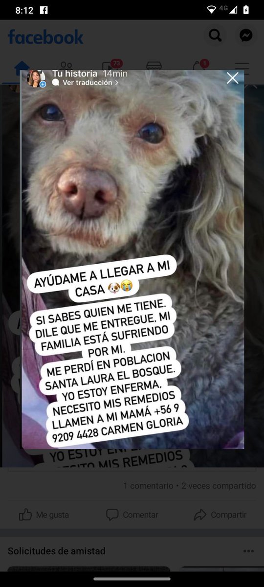 MaraRos37411865's tweet photo. https://t.co/EJE8dyPDyF