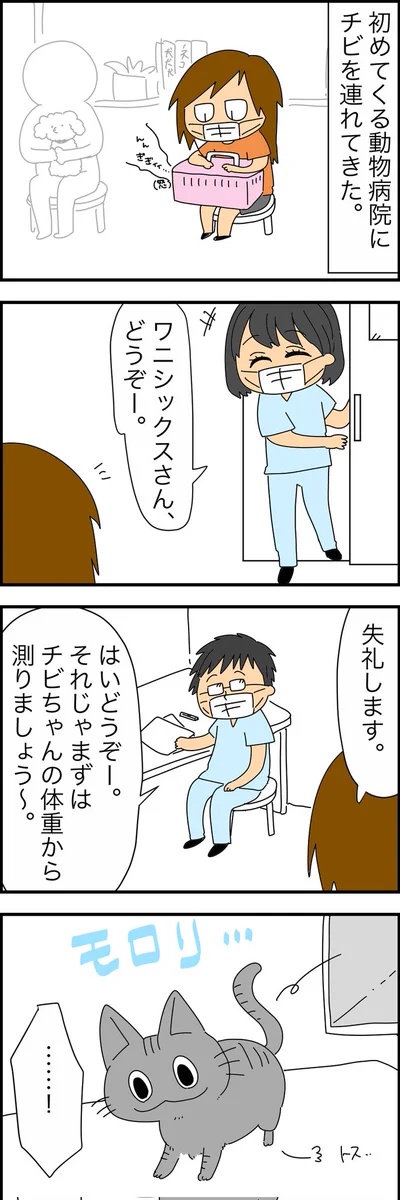 うちのチビ猫。診察室入るなり医者を唸らせてて草。