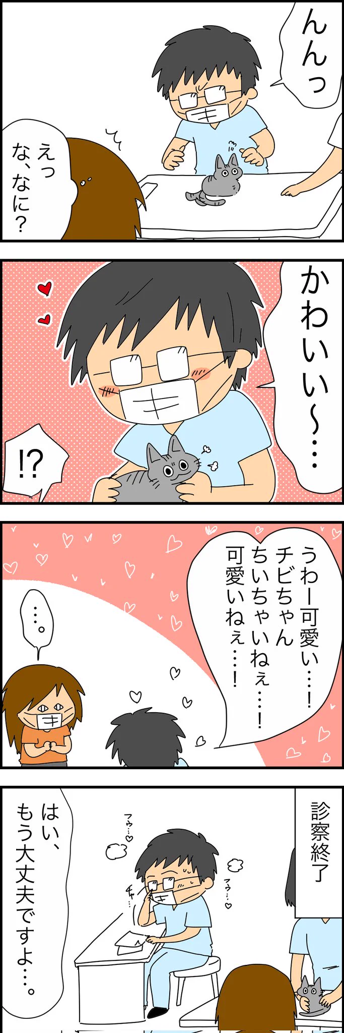 うちのチビ猫。診察室入るなり医者を唸らせてて草。