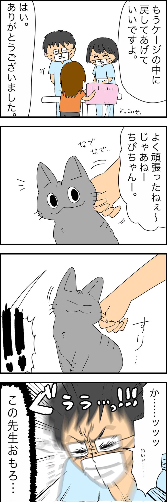 うちのチビ猫。診察室入るなり医者を唸らせてて草。