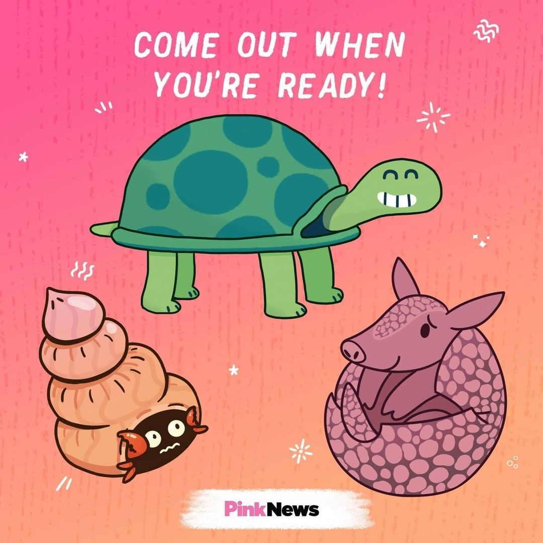 PinkNews graphic with illustrations of a hermit crab, tortoise and armadillo with the words "Come out when you're ready!"