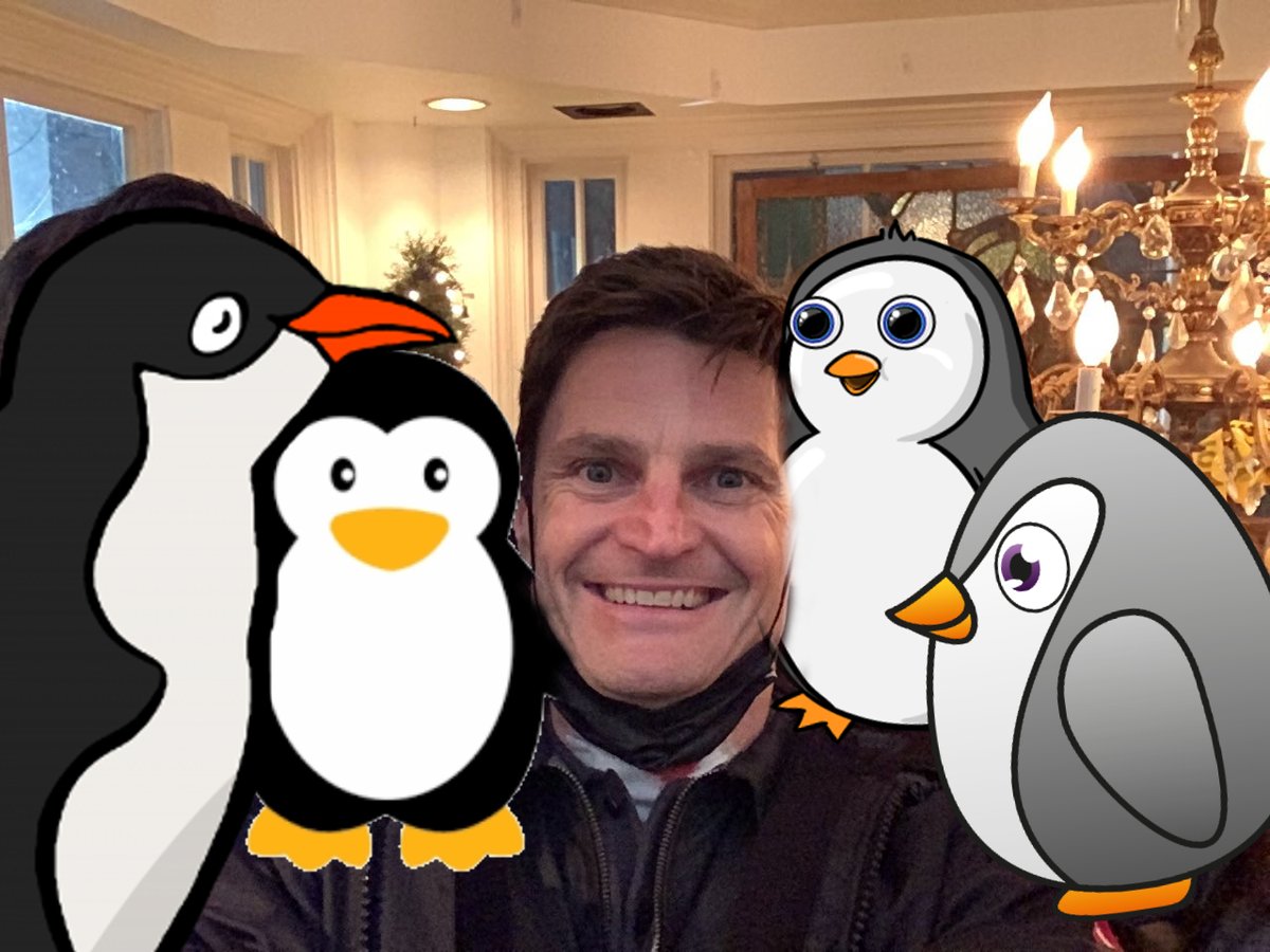 Nas7132's tweet photo. Daily fish/penguin tweet goes to @FrazerBobby and his penguins! @Skylark4921 @rise4ourHeda @LowiesFlorence @FortsalemN @that_tatertot @IsalyneBastien @scayllas @taymaliaraylla @CornSalem @rayllainblue @DrunkHaughty #MotherlandFortSalem #SaveMotherlandFortSalem https://t.co/TkRWqWF42g