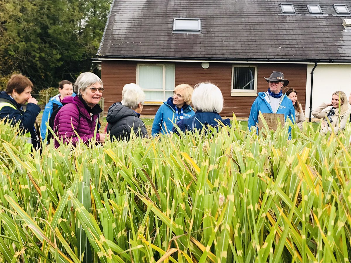 Trustinthepark's tweet photo. We’d like to say a huge thank you to our wonderful walkers, funders &amp; hosts @NHSForthValley community clinics for todays launch of @PathsforAll #strengthbalance panels - the first practice to have them installed on site! @lomondtrossachs @Impact_Funding @nature_scot https://t.co/dVj73ahyRn
