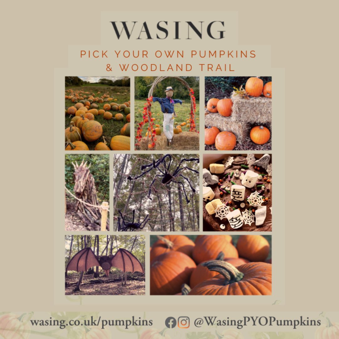 PennyPostWB's tweet photo. https://t.co/qKYGVi0ZJW

🎃 Pick Your Own Pumpkins
🍁 Woodland Trail
✨ Children's Entertainment 
☕️ Hot Drinks &amp; Snacks 
🗓 Fri 21 - Sat 29 October 2022 
📍 Wasing Lane, Aldermaston, RG7 4LY
🎟 Tickets £5 / Under 2s Free / Free Parking
#pyopumpkins #Aldermaston

@1759Wasing https://t.co/YW7ZDpuRYJ