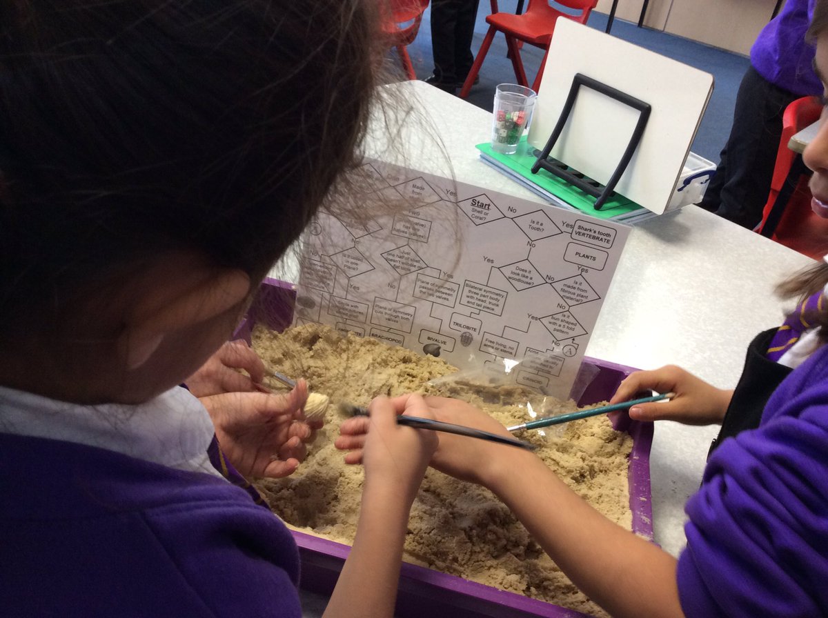 KingsleyLpool's tweet photo. Fantastic Fossils! Year 3 have been learning about how fossils are formed this afternoon, even excavating real fossils of their own! #kingsleyScience #class3c #class3b #class3h https://t.co/qf1C8QsmlL