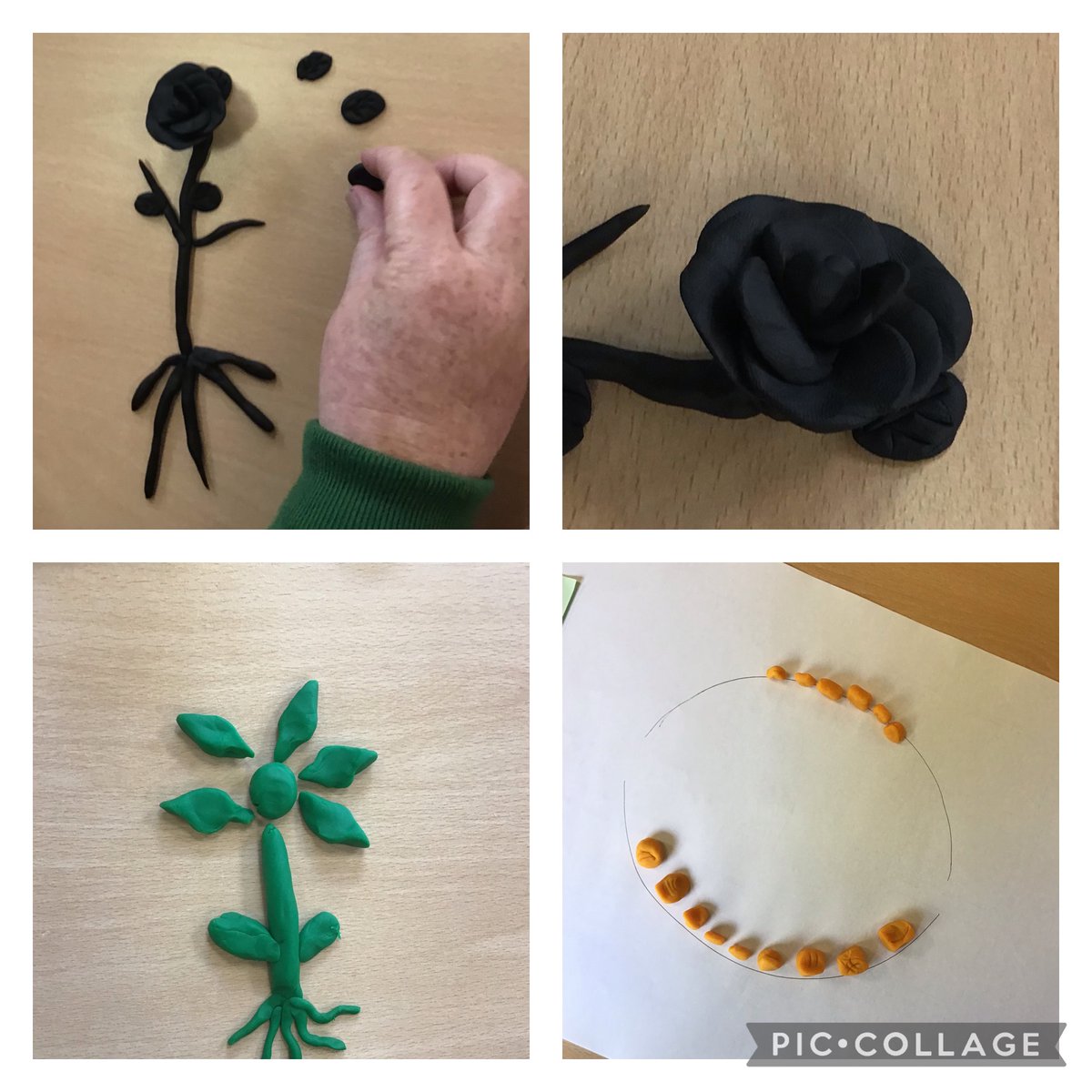 cloverscientist's tweet photo. Using playdough to enhance learning @STEMLearning with @EnquireTrust #eltscience #teeth #plants https://t.co/gGniXhrh51