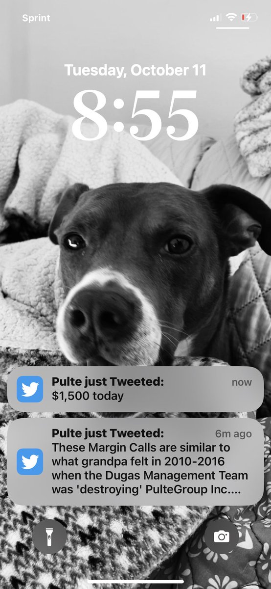 ThatMixedBiotch's tweet photo. @pulte Notifications on! $sierragreenlee1313 https://t.co/yQ0254d1u5