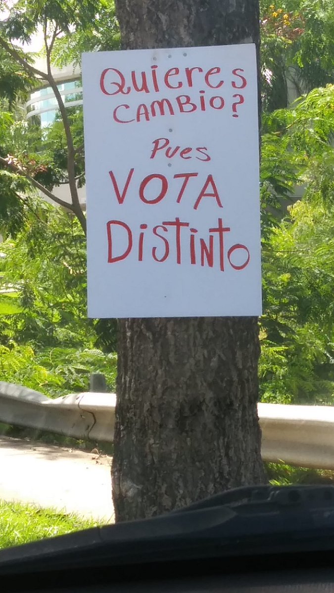 Marilú Guzmán (@mariluguzmansj) on Twitter photo 