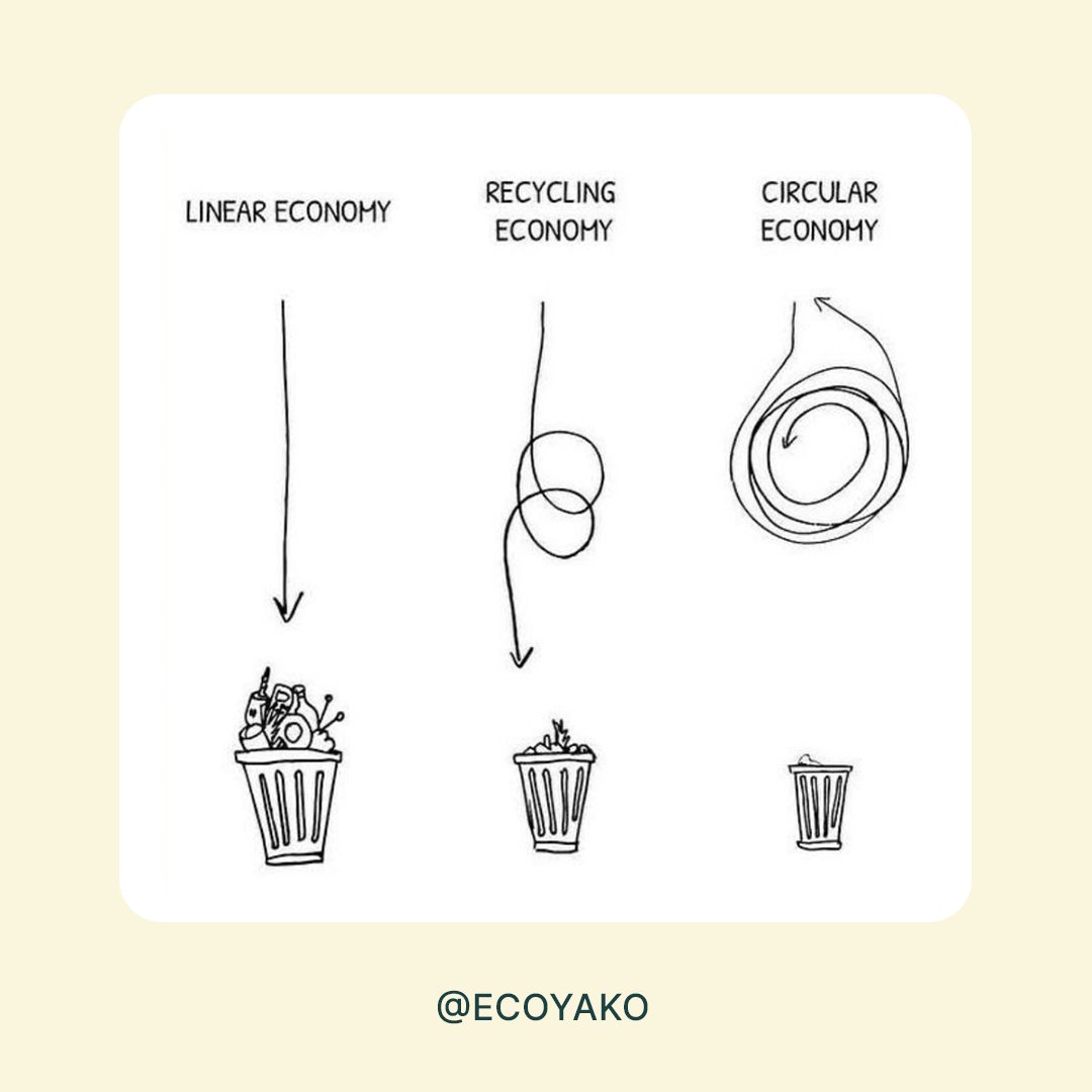 Programme Noé tweet media