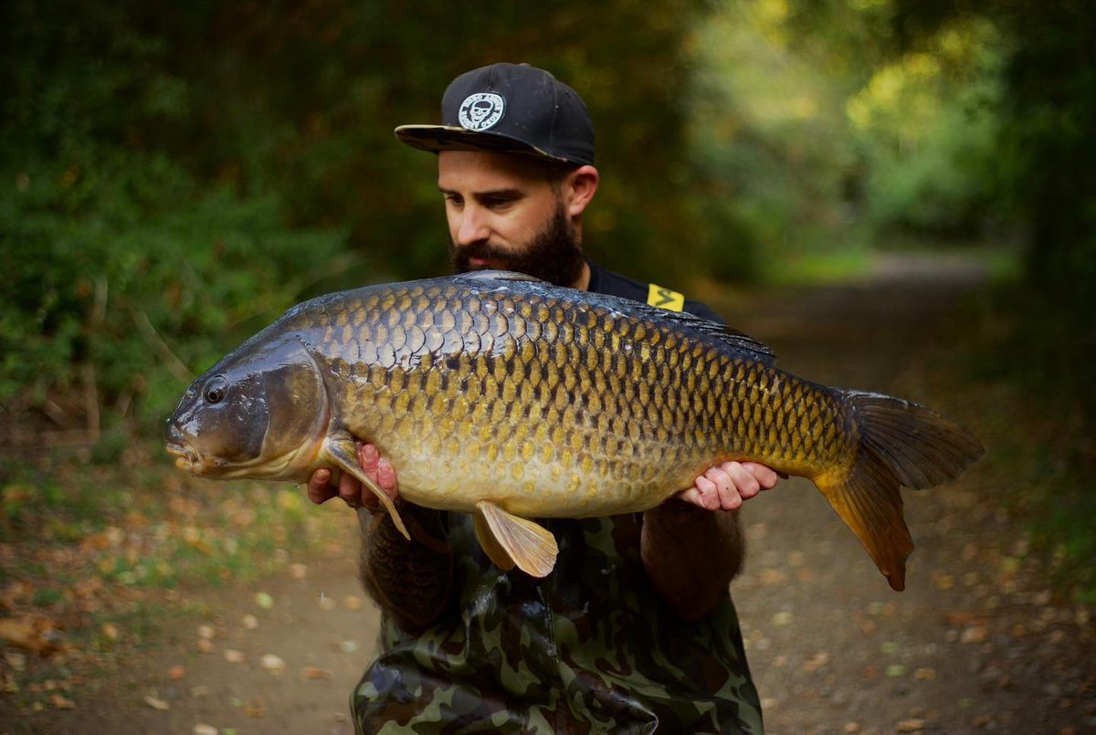 The biggest of the two caught in quick succession on the last morning. ​​CLICK HERE: HOBOARMOUR.COM
​​
​#carpfishing #carpfishinguk #karper #karpervisser #karpfen #karpfenangeln #lifestyle #instagood #hoboarmour
( #📷 @joebox_hoboarmour )